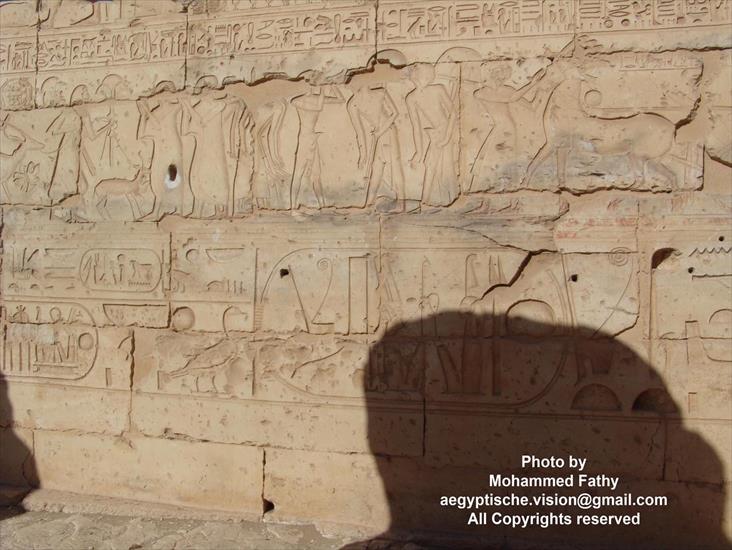 Świątynia w Ramses II - Świątynia w Ramses II 52.jpg
