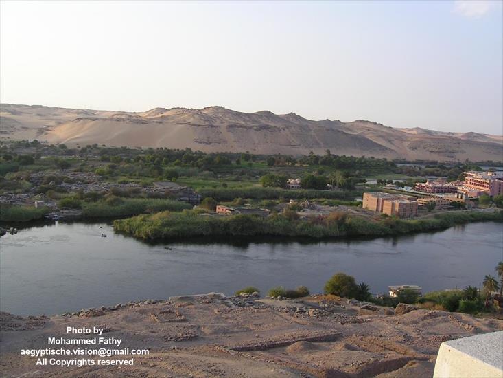 Przyroda - Przyroda w Aswan 558.jpg