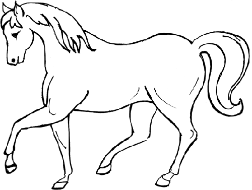 Zwierzęta - coloriages-cheval.gif