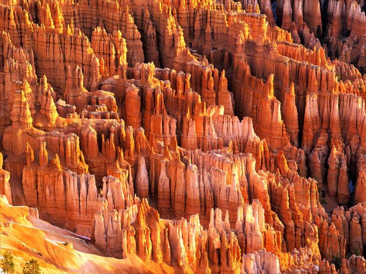 National Park USA Collection - Hoodoos-Formations,-Bryce-Canyon,-Utah.jpg