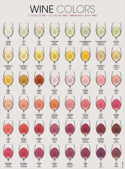 Alkochole - wina wódki drinki - Wine-Colors-2.jpg