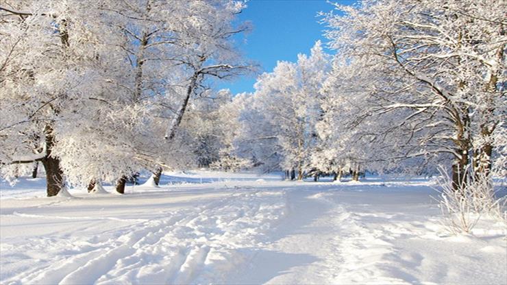 Piękno przyrody zimą - Piękno przyrody zimą 1.jpg