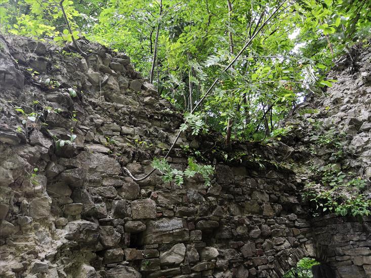  ruiny zamku Sobień - a.jpg