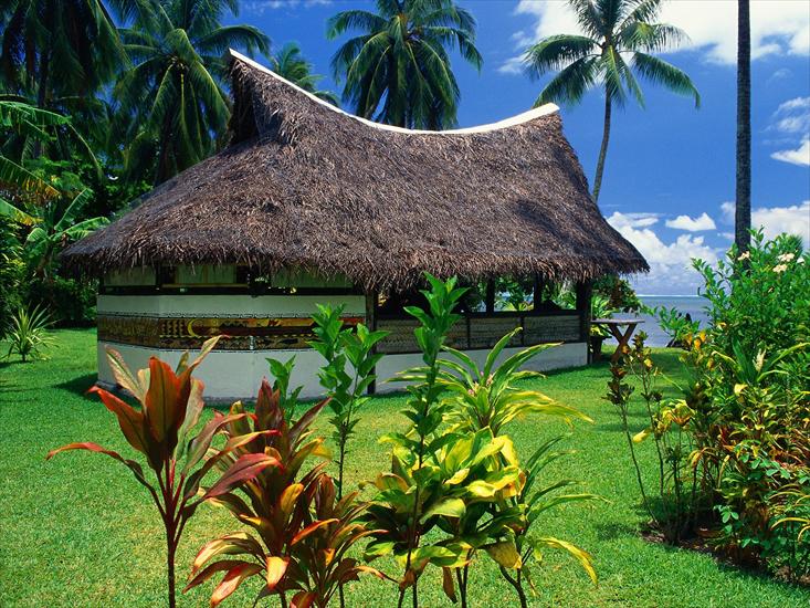 TROPICAL PARADISE - Thatched Bungalow, Moorea Island.jpg