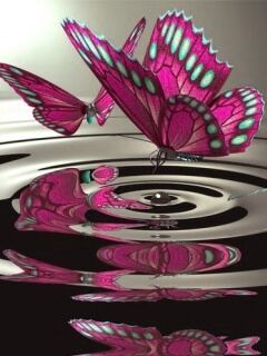 Galeria - Purple_Butterfly.jpg